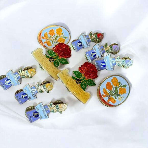Lions Club Lioness Pins Lot Of 10 Rose State Of Maryland Pin Brooch Lapel Pins - Picture 15 of 15